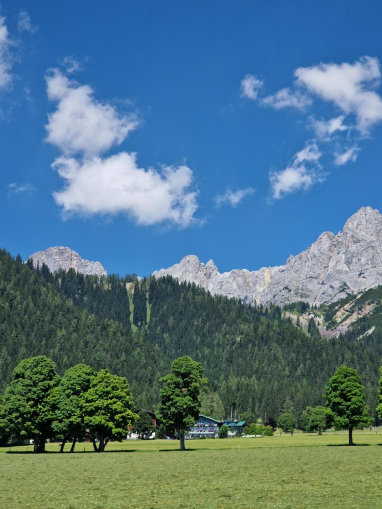 Family Appartment - Dachstein View Ramsau am Dachstein Exterior photo