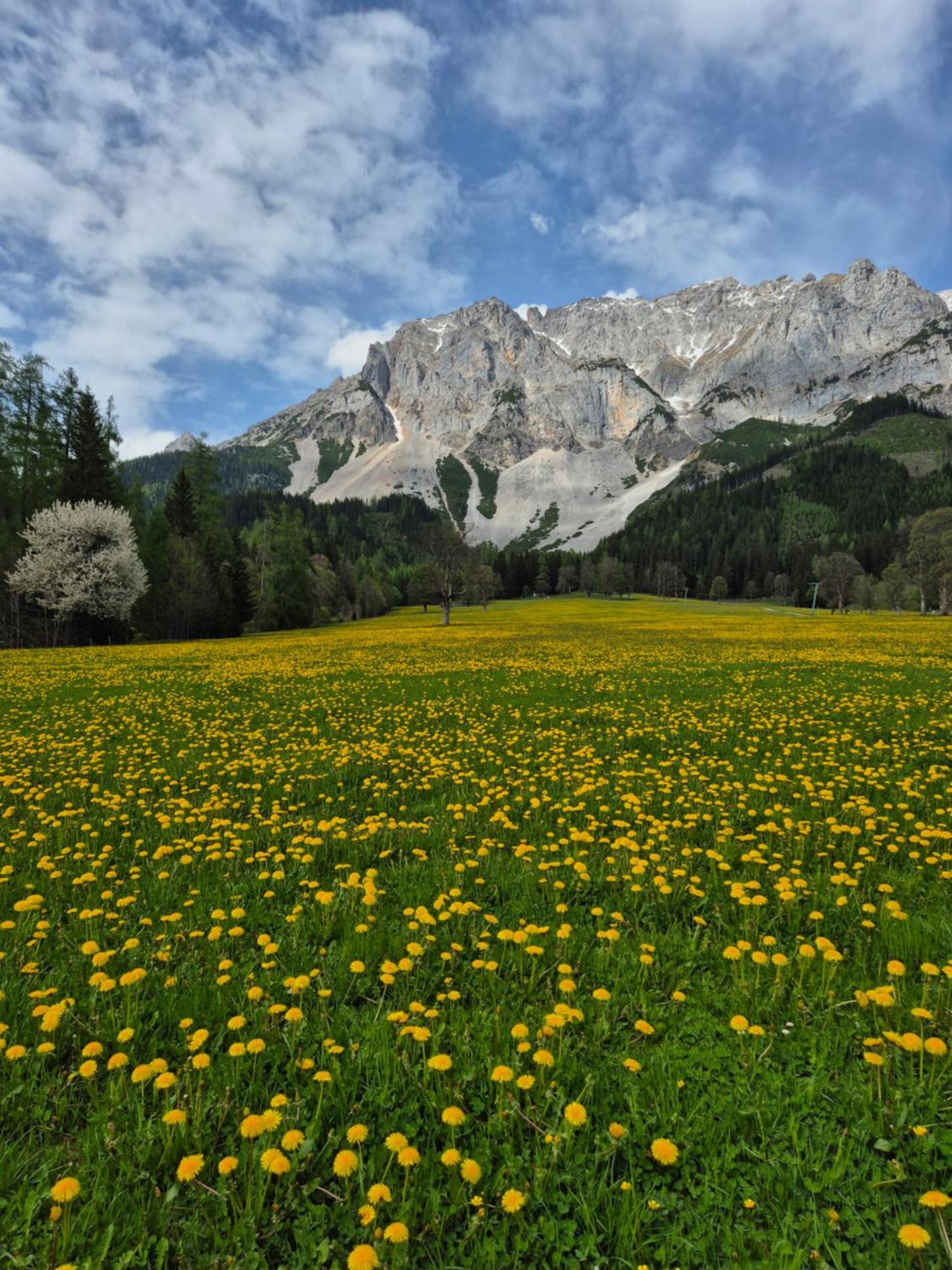 Family Appartment - Dachstein View Ramsau am Dachstein Exterior photo